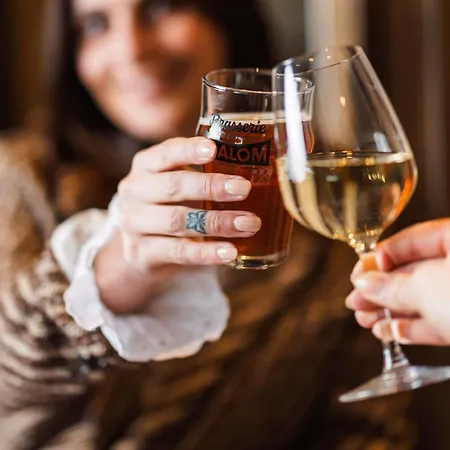 Ibis Sud Valence (Drome)